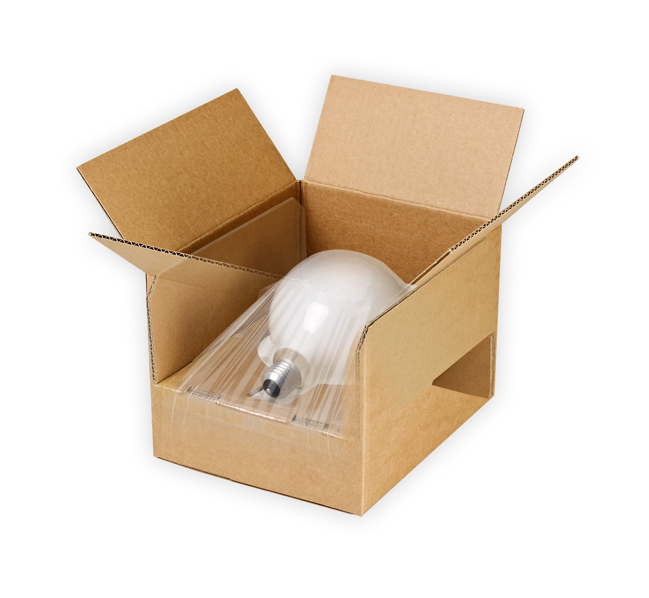 Emba-Lampe-Umkarton-transparent kopia